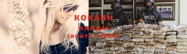 каннабис Белокуриха
