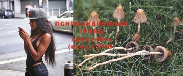каннабис Белокуриха