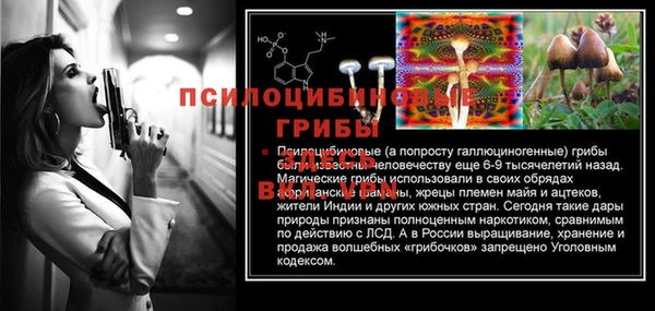 каннабис Белокуриха