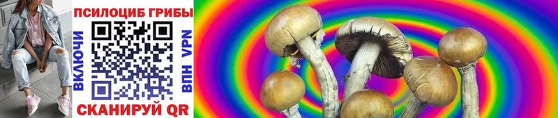 Галлюциногенные грибы MAGIC MUSHROOMS где найти наркотики Юрьевец